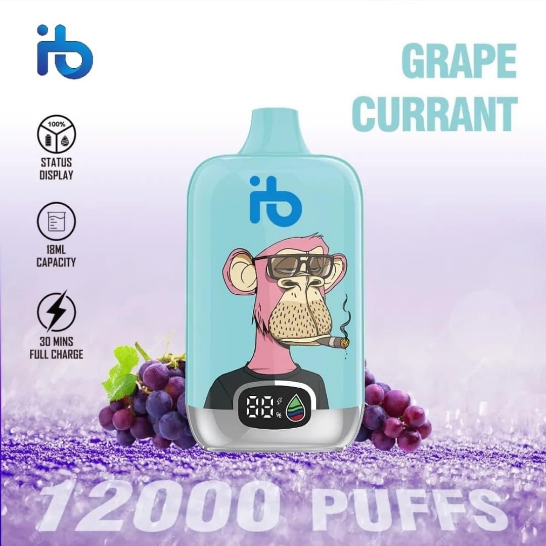 Ultimate care for 25000 Züge Vapes and entretien batterie e-cigarette tips to maximize battery life