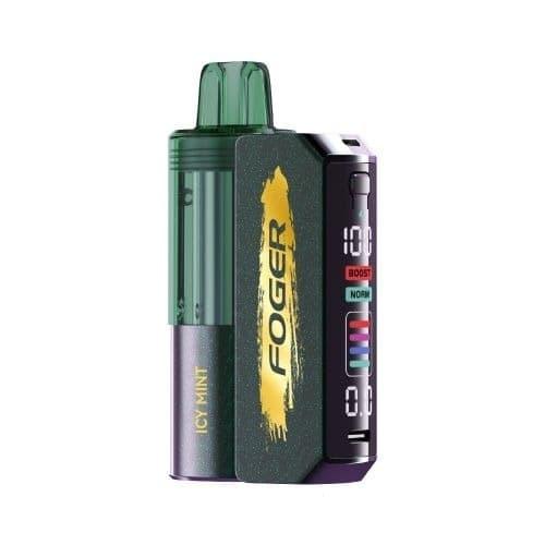 Why Einweg E-Zigaretten Should Be Central to e cigarette prevention programs and Local Health Policy Responses