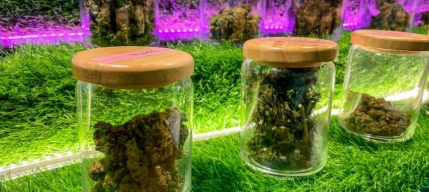 Einweg Vapes review and buying guide – what is the most popular electronic cigarette answered with expert tips